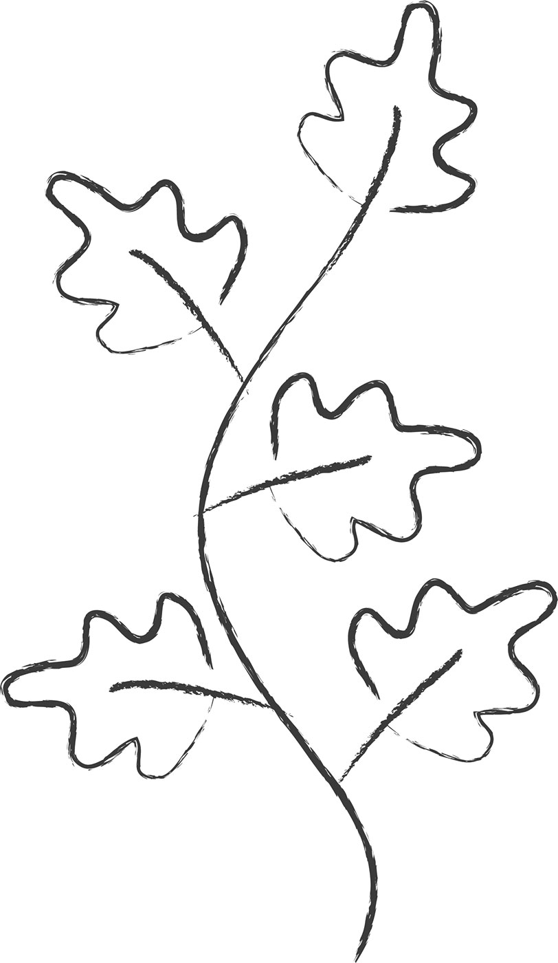 葉っぱの見本画像-白黒・茎葉・手書き風
