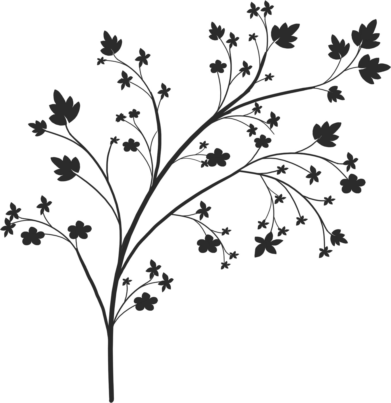 葉っぱの見本画像-白黒・木枝葉