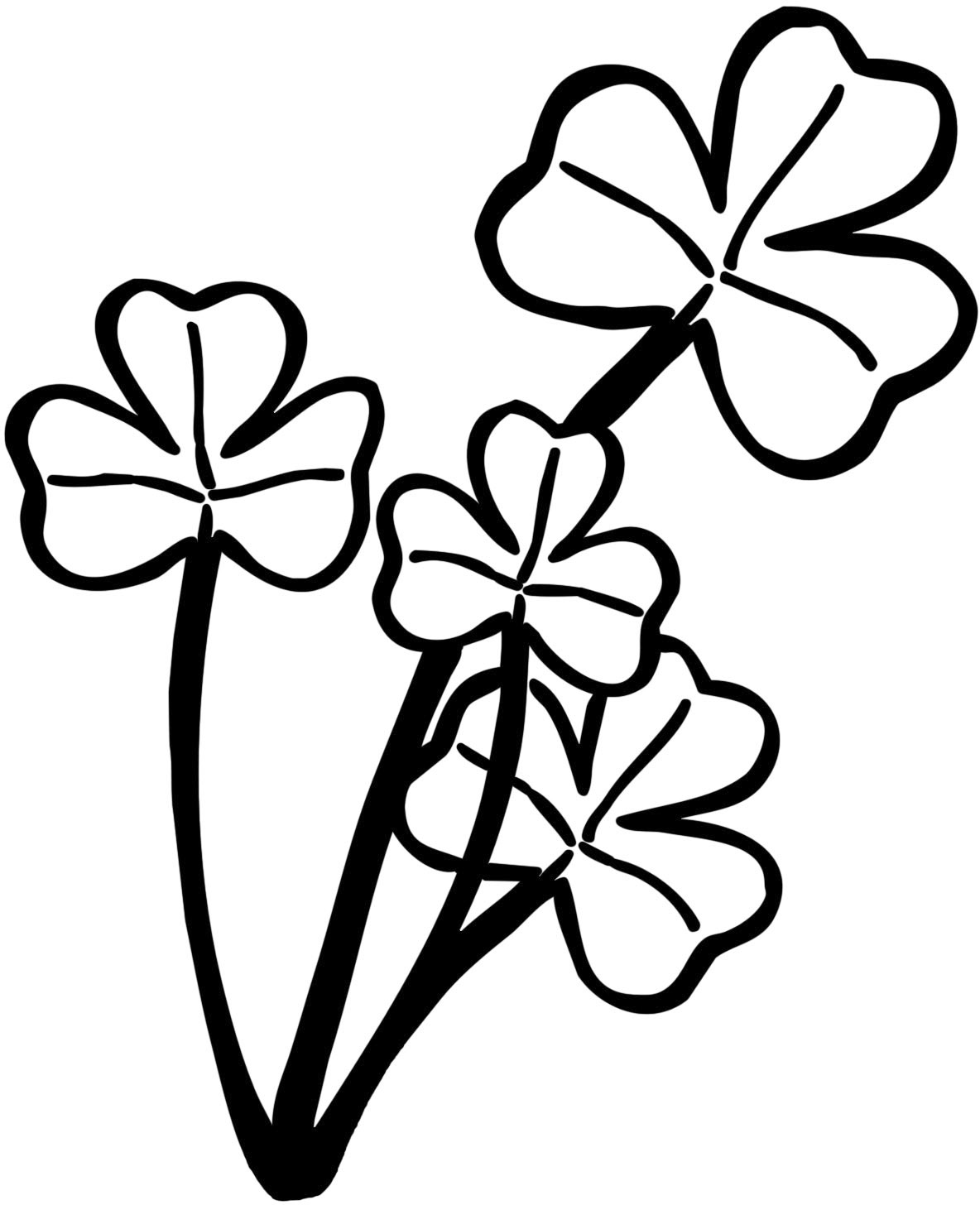 葉っぱや草木のイラスト 画像 フリー素材 白黒no 395 白黒 三つ葉のクローバー