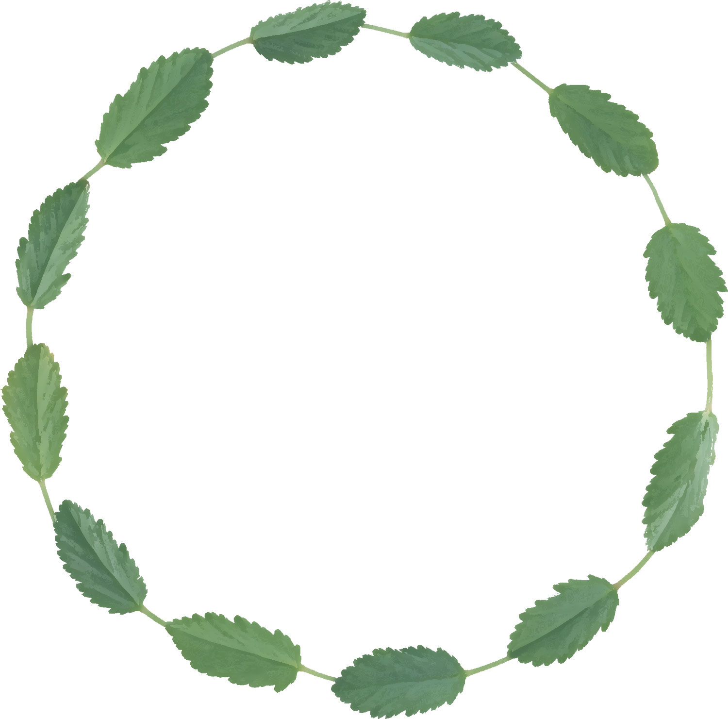 葉っぱ 草木のイラスト フリー素材 フレーム枠no 091 茎葉 緑 輪
