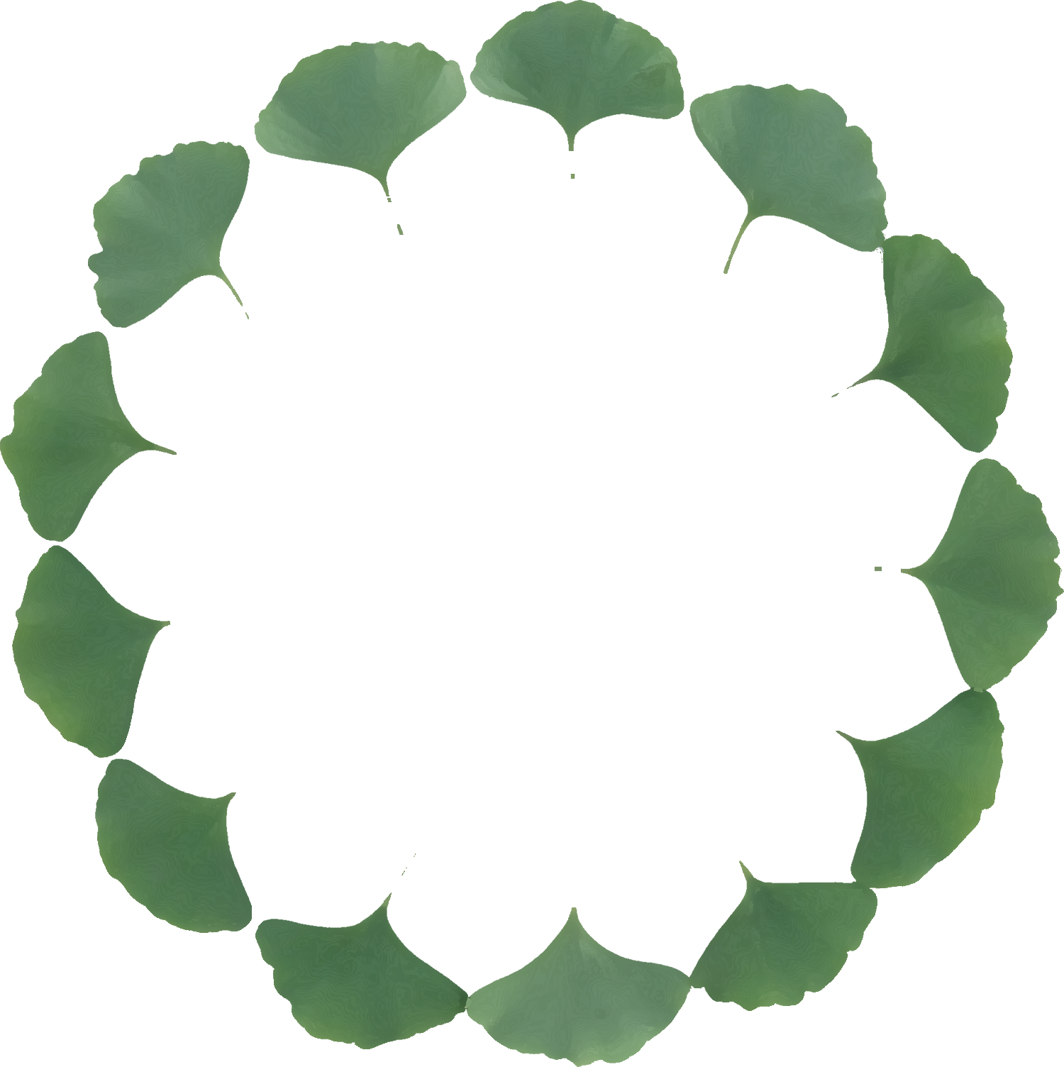 葉っぱ 草木のイラスト フリー素材 フレーム枠no 093 イチョウの葉 緑 輪
