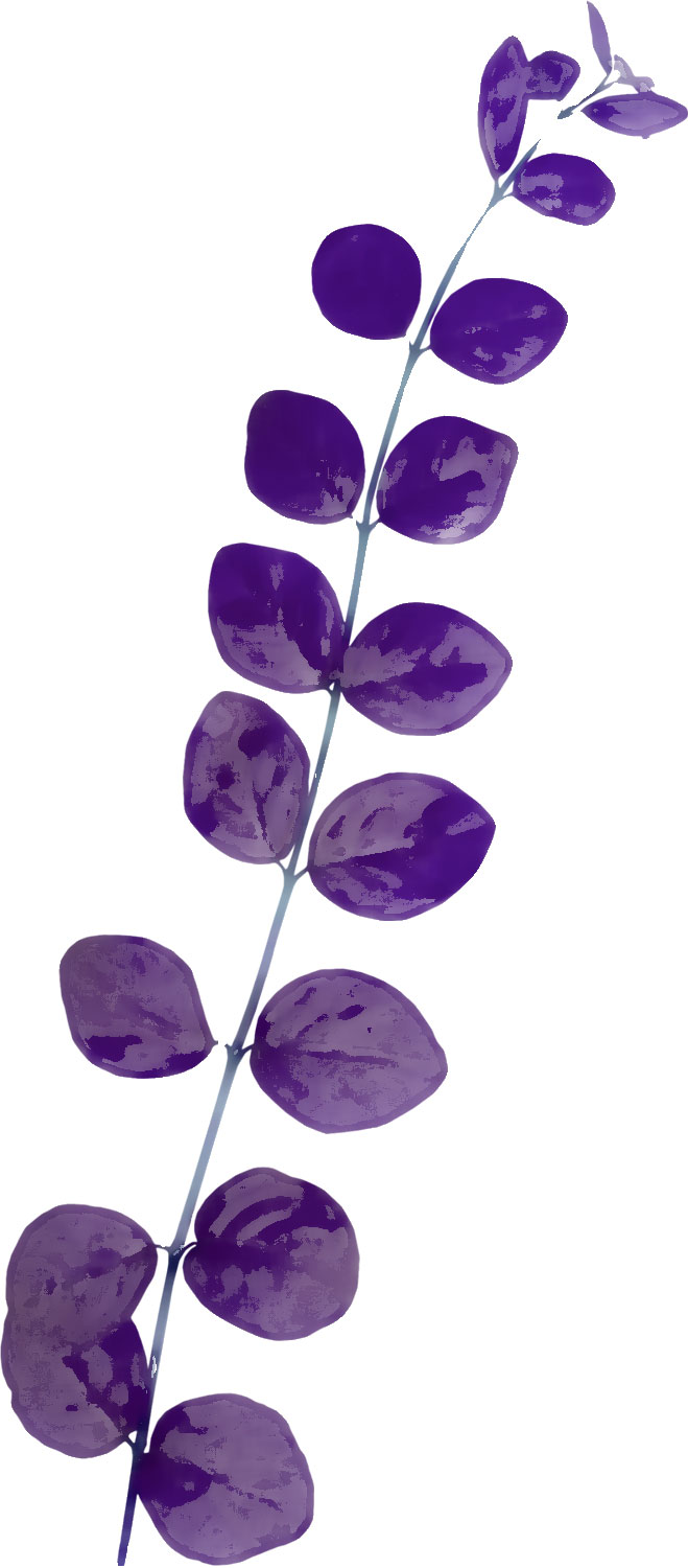 葉のライン線イラスト-茎葉・紫