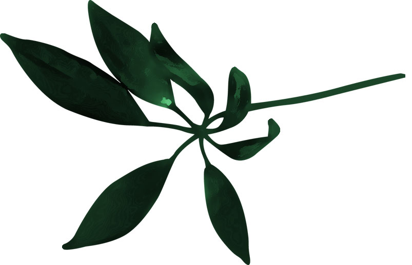 葉のライン線イラスト-茎葉・緑
