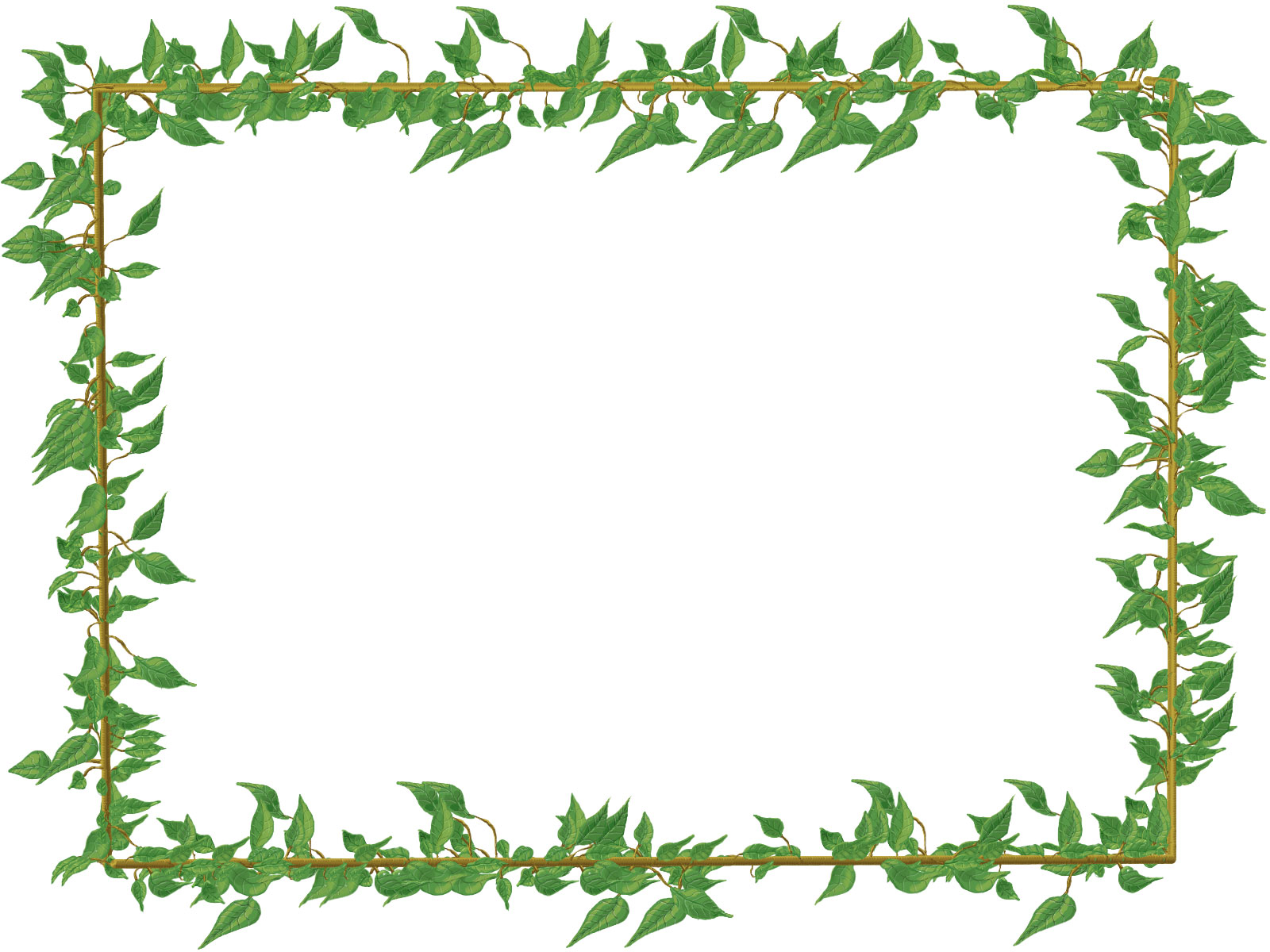 葉っぱや草木の写真 フリー素材 画像no 1285 からまる葉 緑