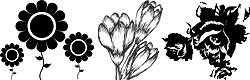 画像：白黒・モノトーンの花イラスト素材